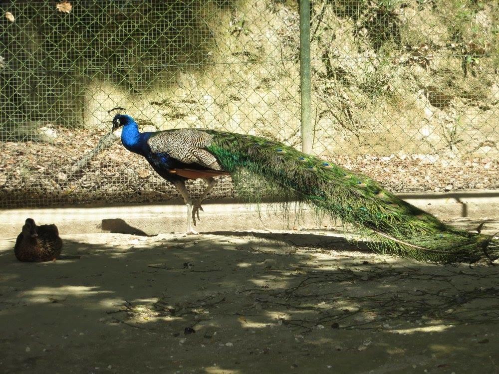 Encosta Dos Tuneis - Turismo E Lazer Север-ду-Вога Экстерьер фото